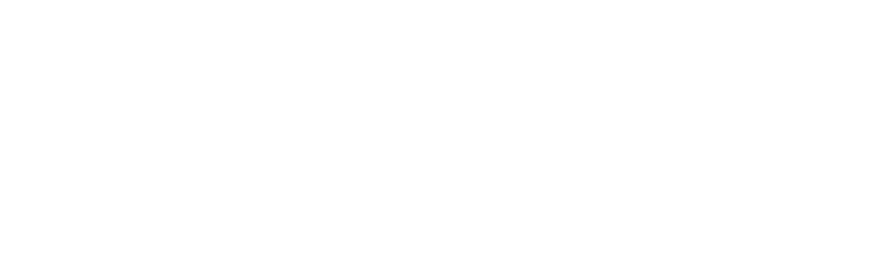 Zion Security Logo